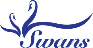 swans-(colour)